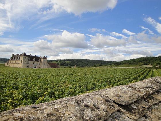Bourgogne <br>
Budgettet!